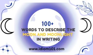 100+ Words to Describe the Moon and Moonlight in Writing