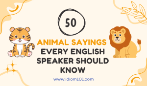50 Animal Sayings Every English Speaker Should Know