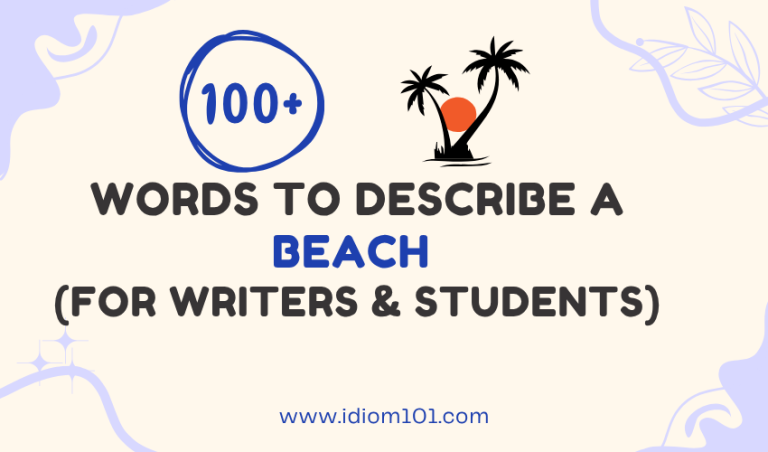 100+ Words to Describe a Beach (For Writers & Students)