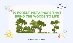 50 Forest Metaphors That Bring the Woods to Life