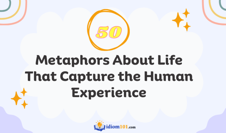 50 Metaphors About Life That Capture the Human Experience