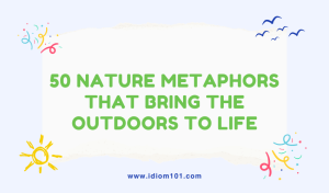 50 Nature Metaphors That Bring the Outdoors to Life