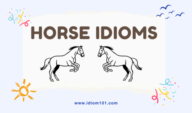 Horse Idioms