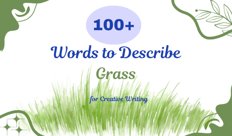 100+ Words to Describe Grass for Creative Writing